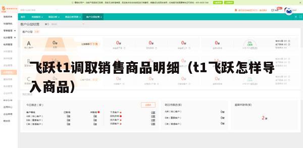 飞跃t1调取销售商品明细（t1飞跃怎样导入商品）